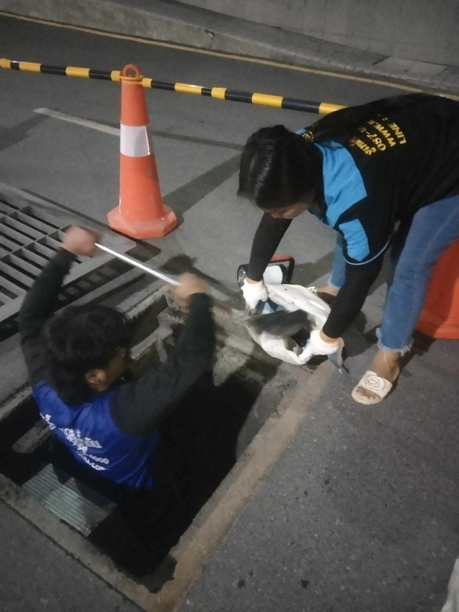 494687013 2113488845819681 1878228494311961244 n