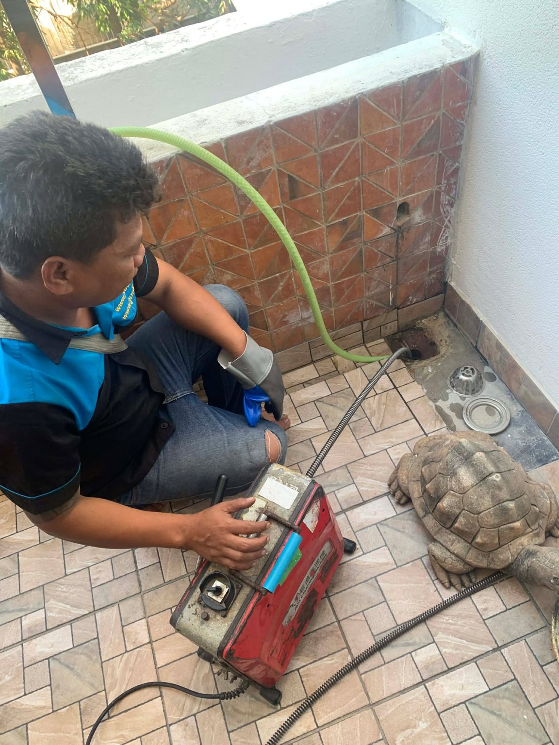 593464803 1360354392530436 8126352276219802526 n