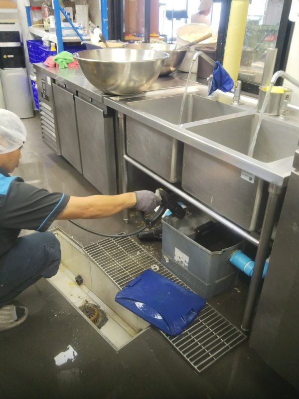 625958548 875030815337799 6482337118425742332 n